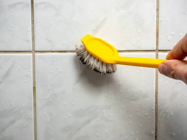 Best Black Mold Removal  in Blanco, TX