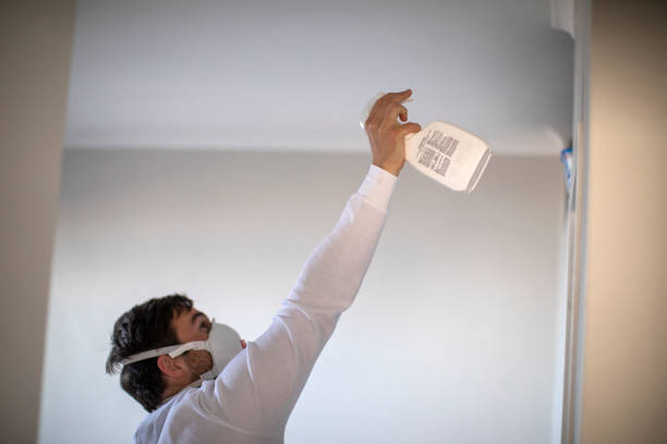 Best Professional Mold Removal  in Blanco, TX