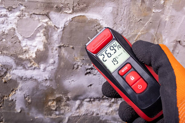 Best Mold Testing  in Blanco, TX