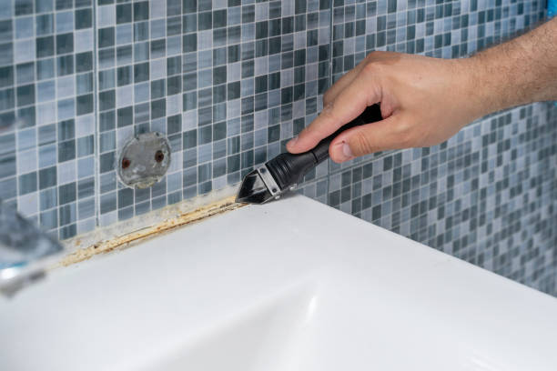 Best Mold Testing  in Blanco, TX