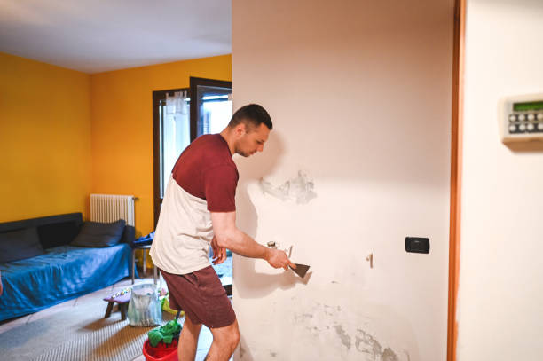 Best Crawl Space Mold Removal  in Blanco, TX